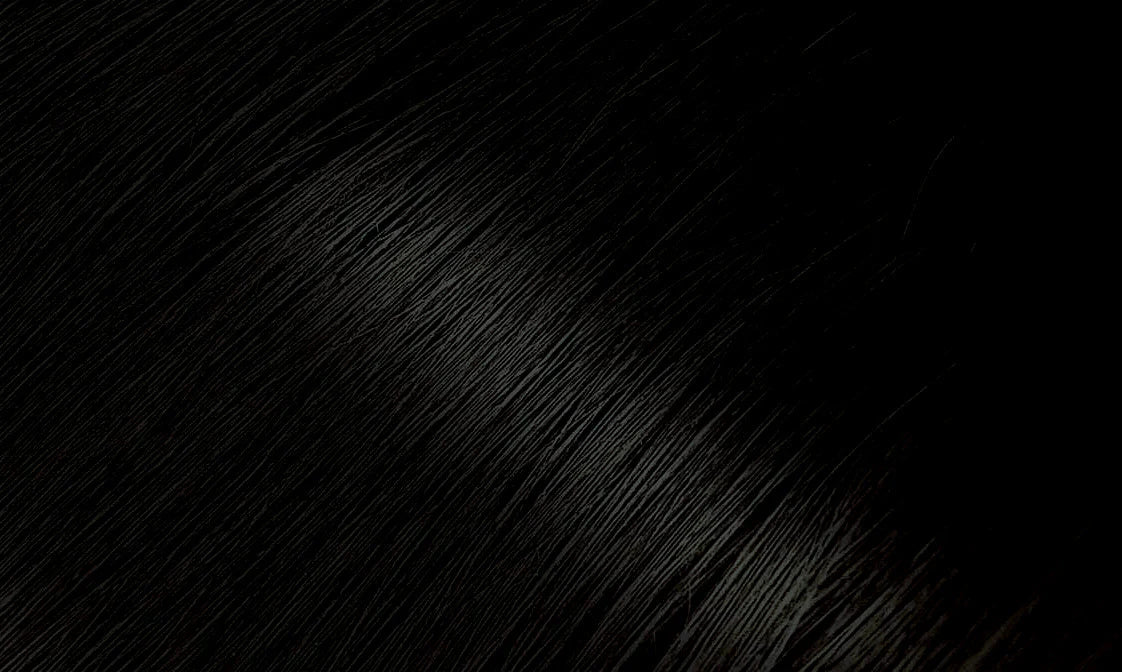 Bigen Permanent Powder Hair Color 59 Oriental Black 0.21 oz. / 6 g