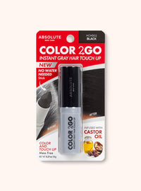 Thumbnail for Absolute New York Color 2GO Instant Gray Hair Touch Up Stick HCHS02