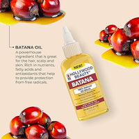 Thumbnail for Hollywood Beauty Batana 100% Natural Oil Blend2 oz - Elevate Styles