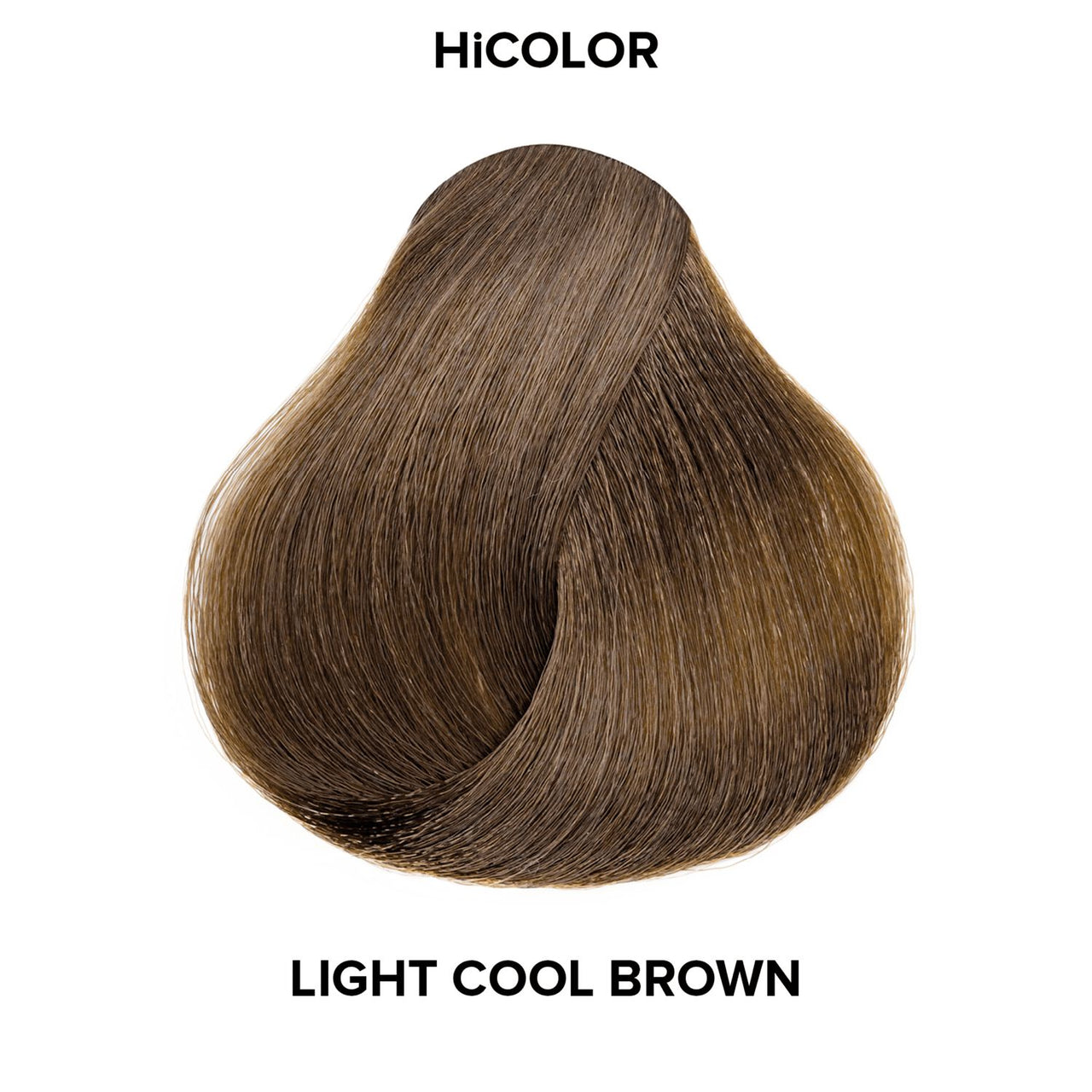 L'Oréal Excellence HiColor Browns Permanent Haircolor – H2 Cool Light Brown