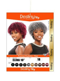 Thumbnail for Destiny Elina 10