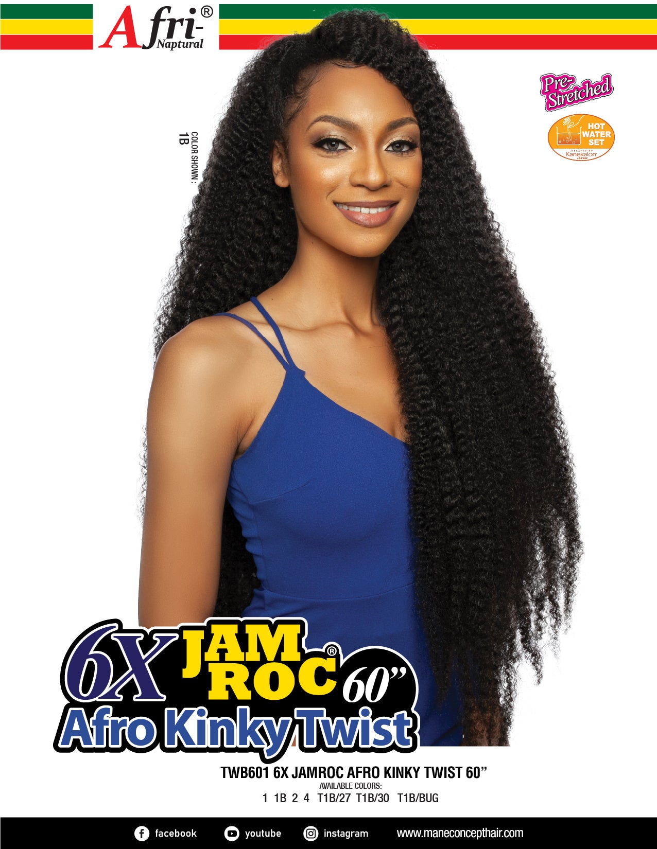 Afro Amazon.com : Janet Collection Natural Afro Series - Eden Wig
